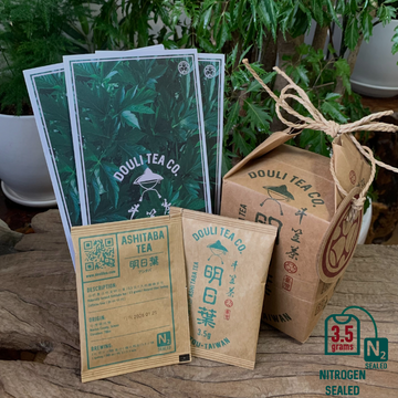 Ashitaba Tea